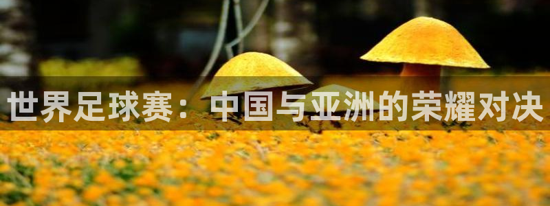 2026世界杯足球赛程时间表：世界足球赛：中国与亚洲的荣耀对决