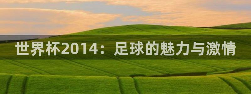 世界杯16强赛程表：世界杯2014：足球的魅力与激情