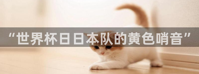 2026世界杯直播：“世界杯日日本队的黄色哨音”