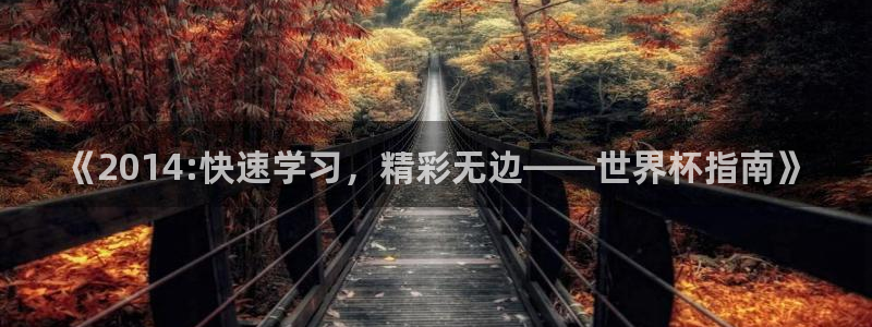 世界杯2026赛程：《2014:快速学习，精彩无边——世界杯指南》