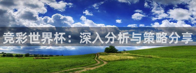 2026年男足世界杯：竞彩世界杯：深入分析与策略分享