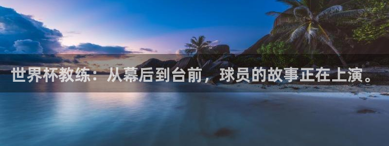 世界杯亚洲区预选赛赛程表：世界杯教练：从幕后到台前，球员的故事正在上演。