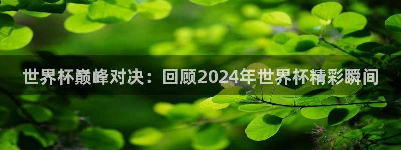 世界杯欧洲预选赛赛程：世界杯巅峰对决：回顾2024年世界杯精彩瞬间