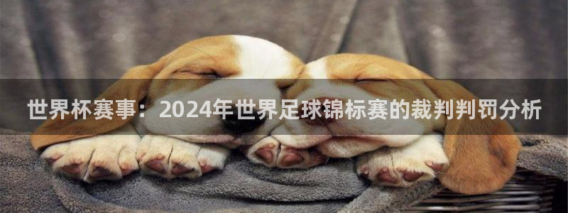 2026世界杯亚洲预选赛：世界杯赛事：2024年世界足球锦标赛的裁判判罚分析