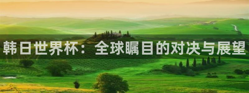 2026世界杯日期：韩日世界杯：全球瞩目的对决与展望