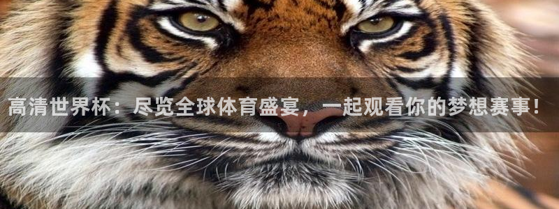 世预赛赛程表：高清世界杯：尽览全球体育盛宴，一起观看你的梦想赛事！
