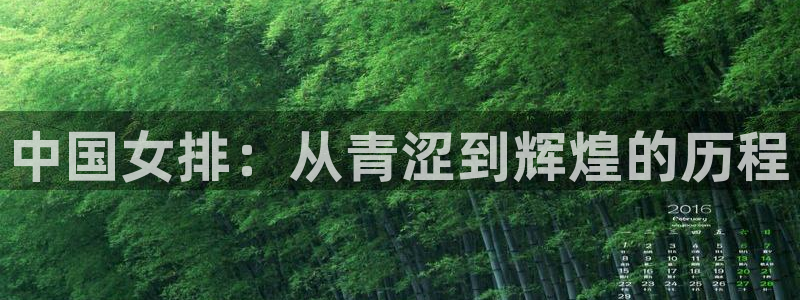 世界杯16强赛程表：中国女排：从青涩到辉煌的历程