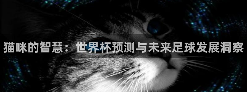世界杯赛程2026：猫咪的智慧：世界杯预测与未来足球发展洞察