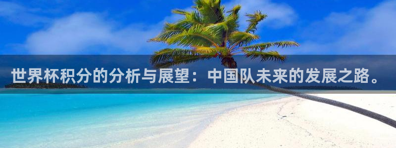 2026世界杯中国队：世界杯积分的分析与展望：中国队未来的发展之路。
